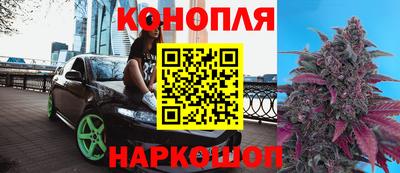 крисы Кудымкар