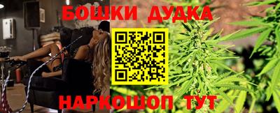 крисы Кудымкар