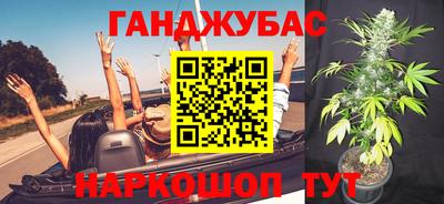 крисы Кудымкар