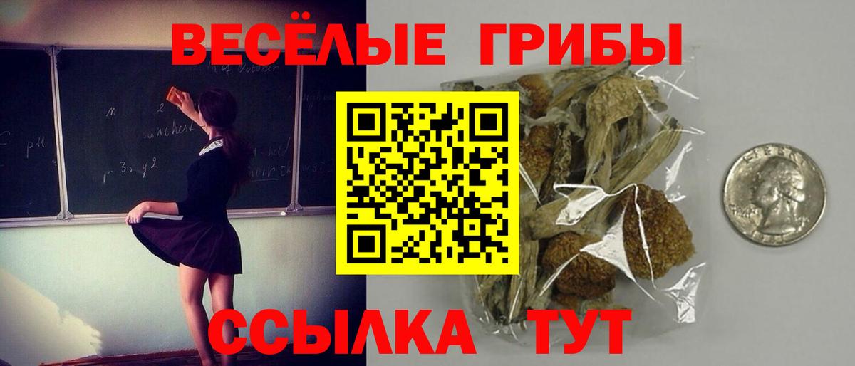 наркота  Вход с VPN  Белая Калитва  Галлюциногенные грибы GOLDEN TEACHER 